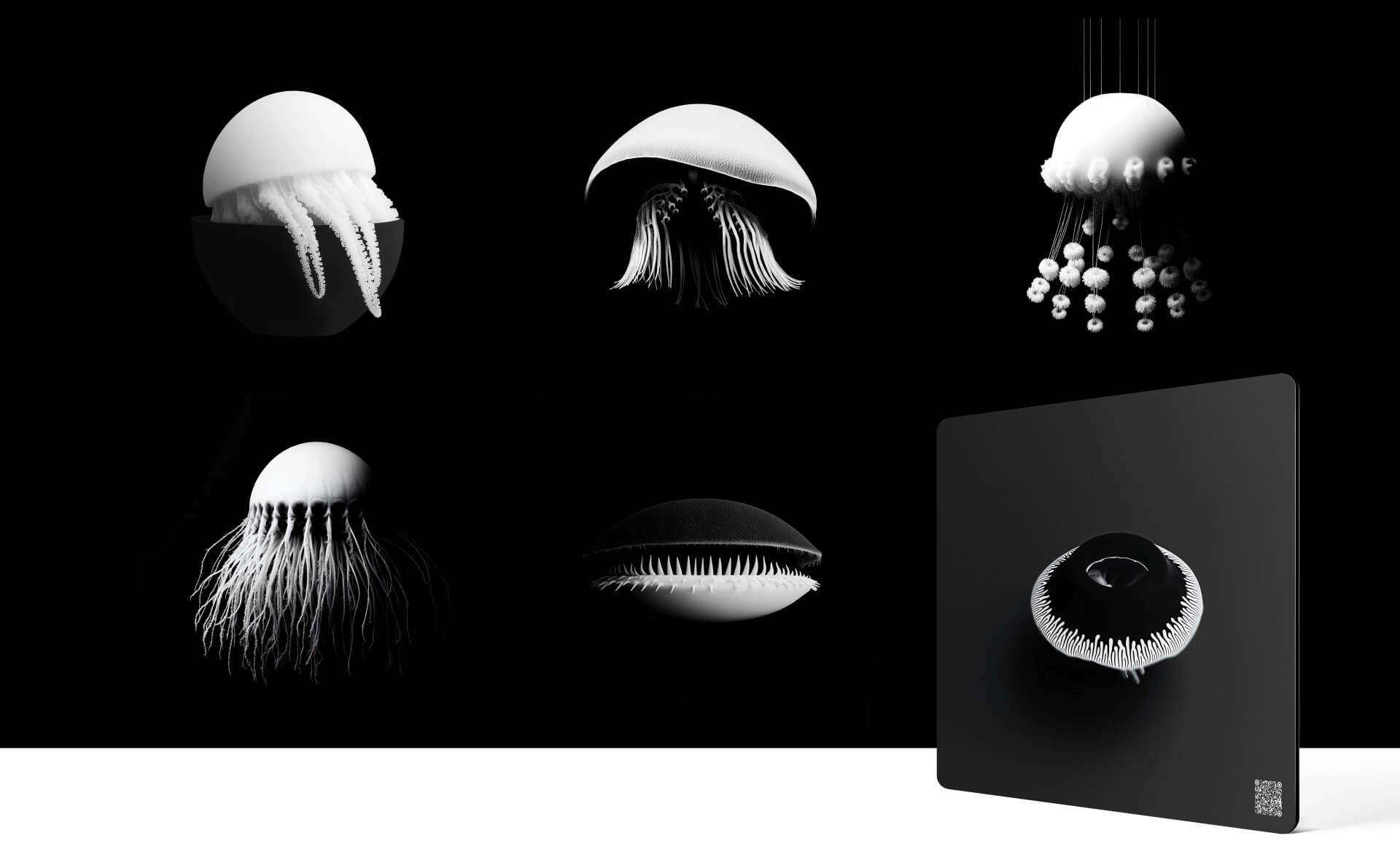 Poetry in Black and White – Fine Art Print auf Alu-Dibond von Dirk Habenschaden, nominiert für die Longlist des BBA Artist Prize 2026. Minimalistische generative Schwarz-Weiß-Fotokunst