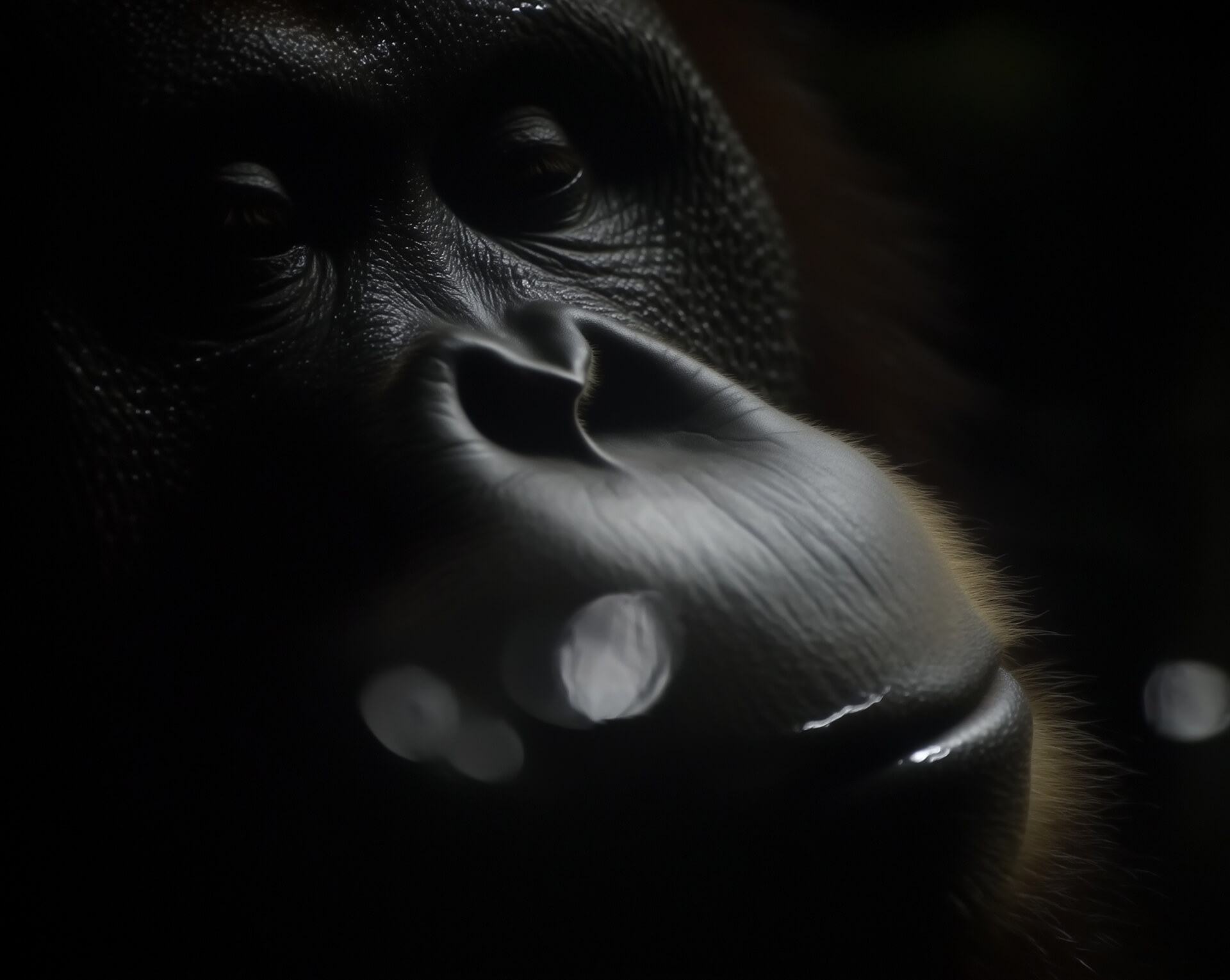 The code of apes, --sref 3795908053, Bild 47, midjourney explorations, Dirk Habenschaden