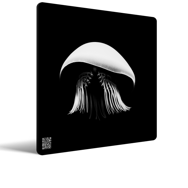 Poetry in Black and White – Fine Art Print 2