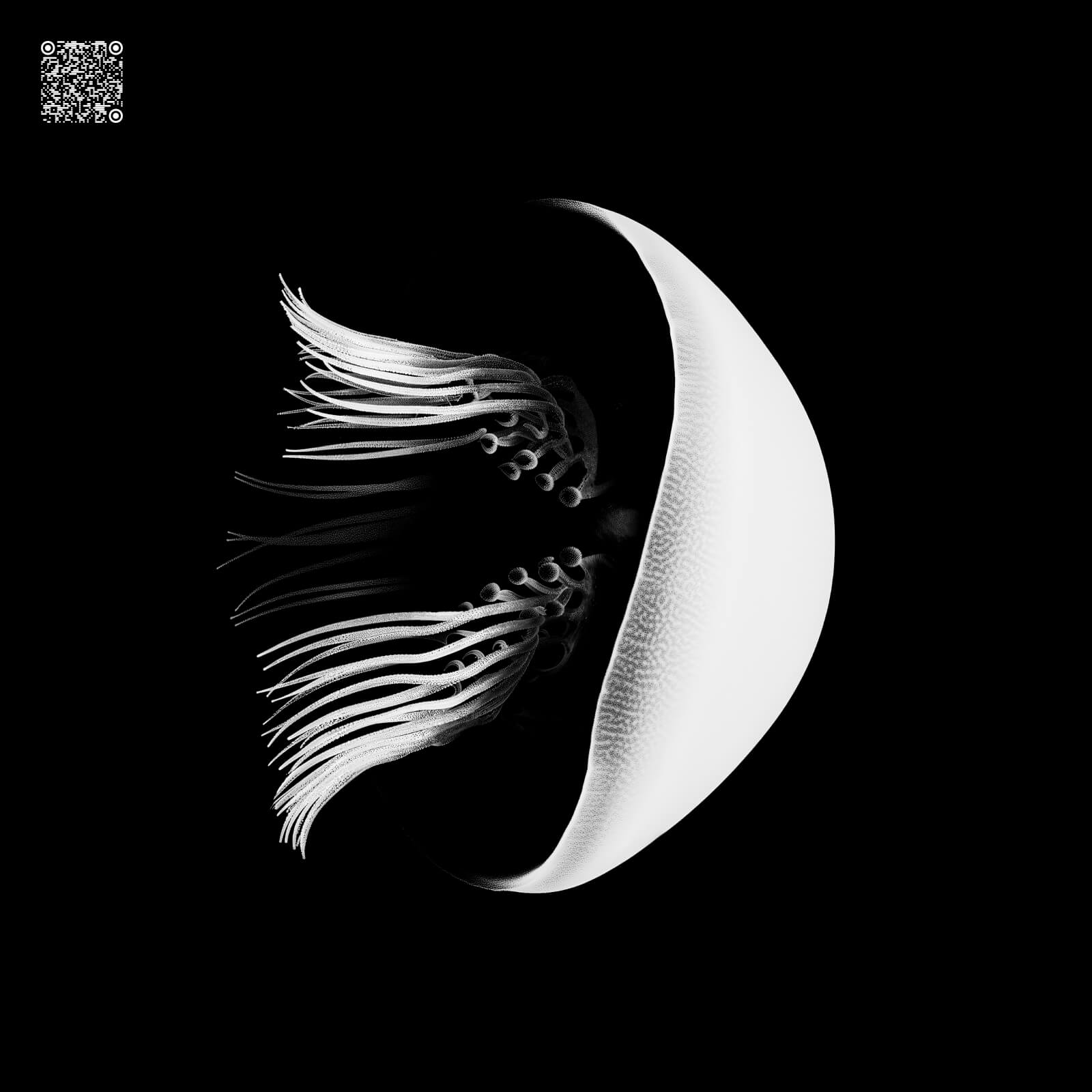 GALLIC – KI-generierte Schwarz-Weiß-Kunst aus der Serie Poetry in Black and White